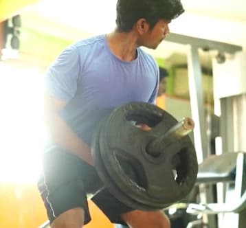 Back muscle gain